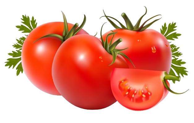 Tomato Products