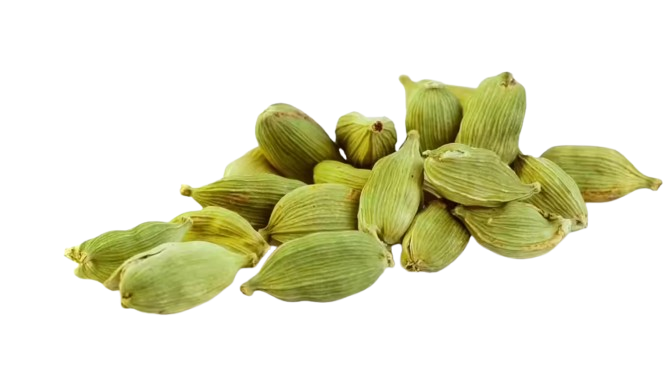 Cardamom